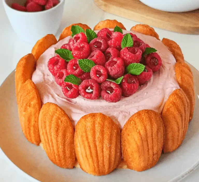 Charlotte aux Framboises et Mousse Légère
