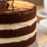 Gâteau chocolat crème vanillée couches airfryer élégant ganache